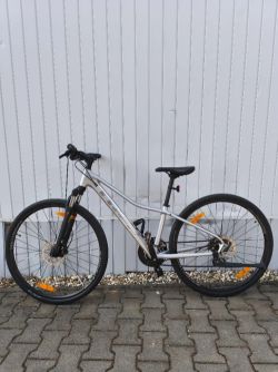 Trek Dual Sport 2 Women's
