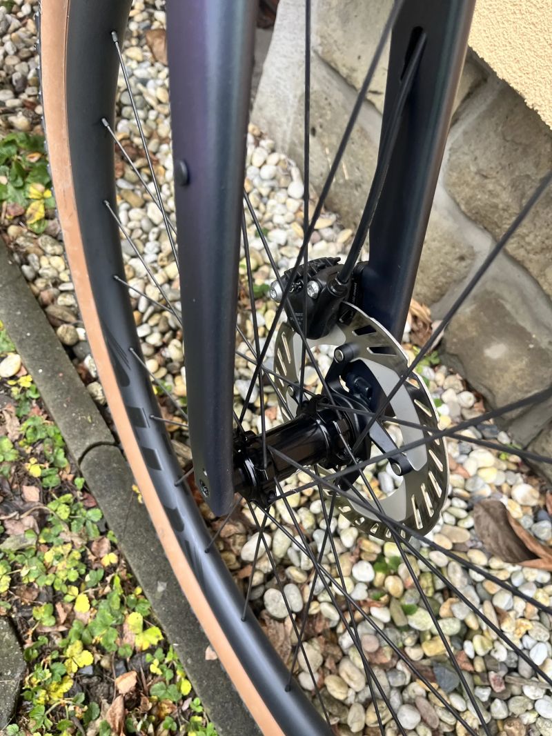 Giant Revolt 0 L 2021