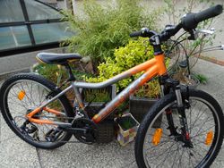 Rock Machine Surge 24" + cyklocomputer Sigma