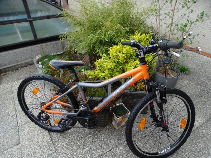 Rock Machine Surge 24" + cyklocomputer Sigma