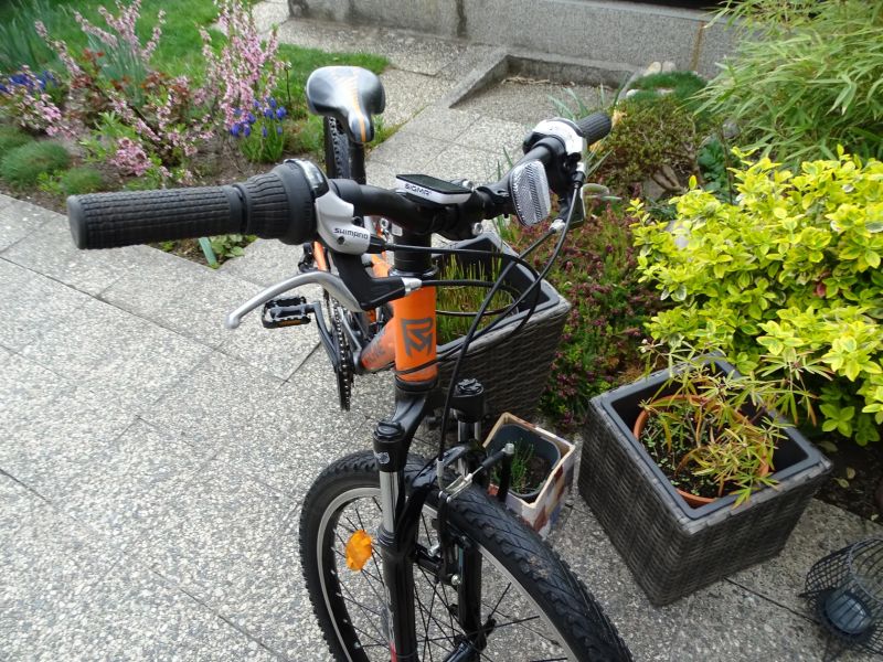 Rock Machine Surge 24" + cyklocomputer Sigma