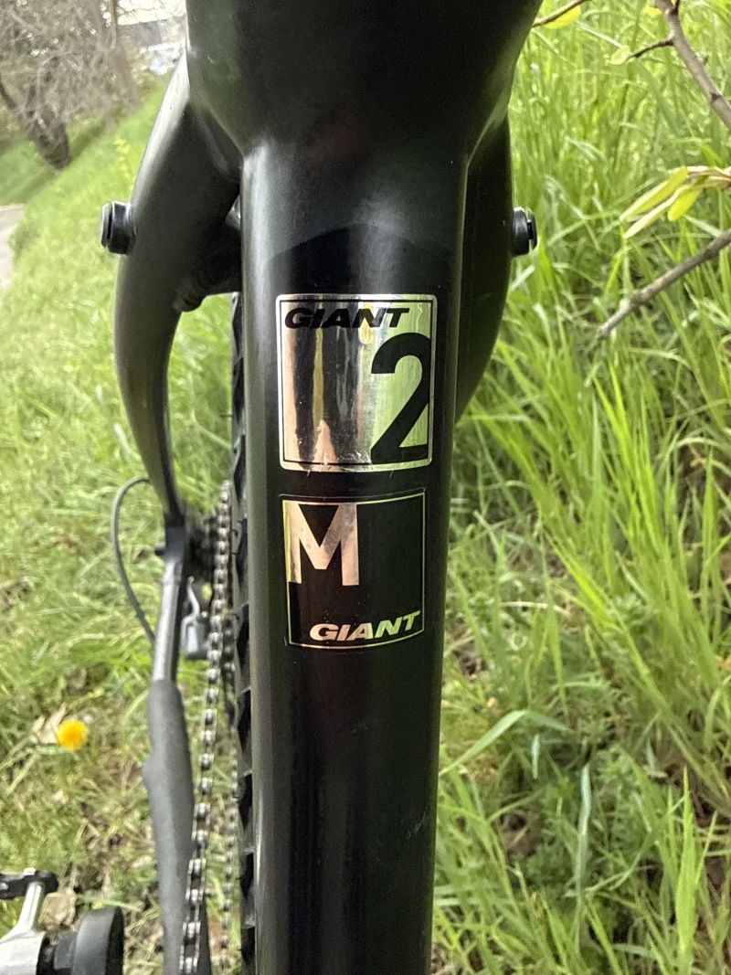 Giant ToughRoad SLR 2