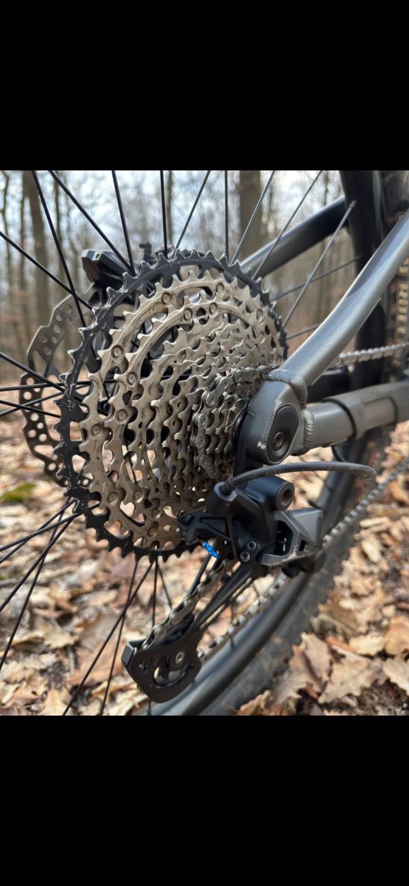 🚀Giant Trance 2🚀