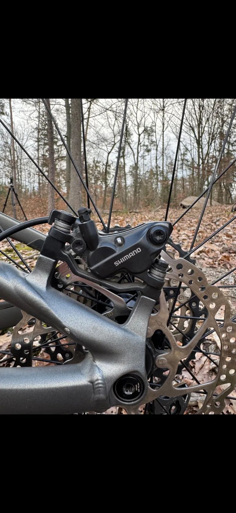 🚀Giant Trance 2🚀