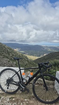 Canyon Endurace AL Disc 7.0