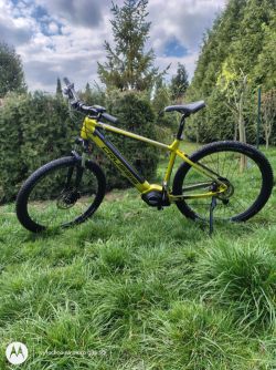 Crussis E-largo 7.10