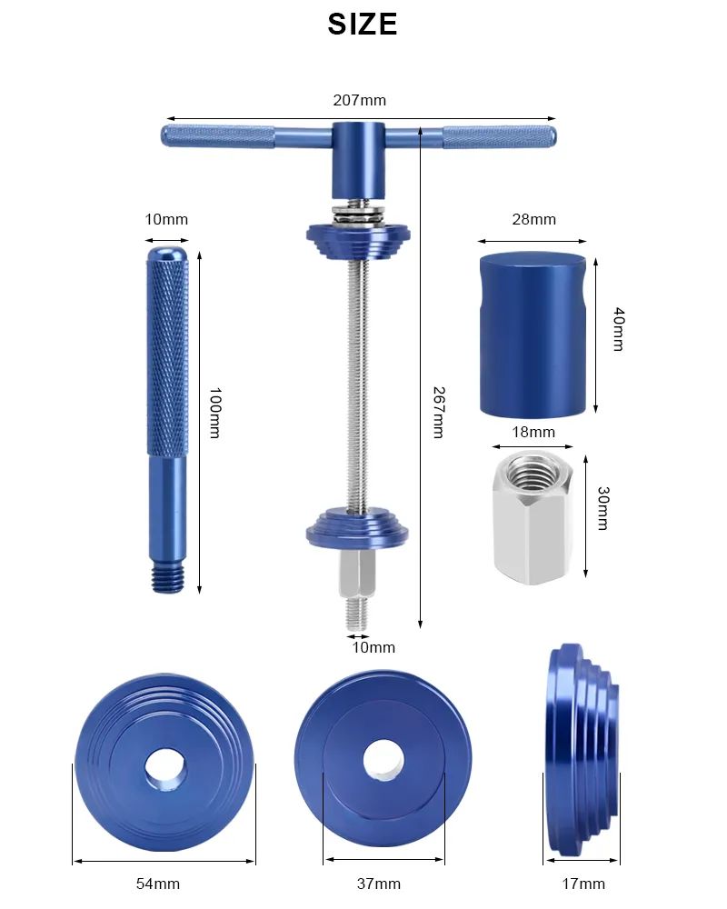 Lis na středová a hlavová složení 