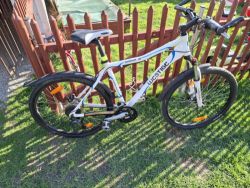 Westige Tender W 19"