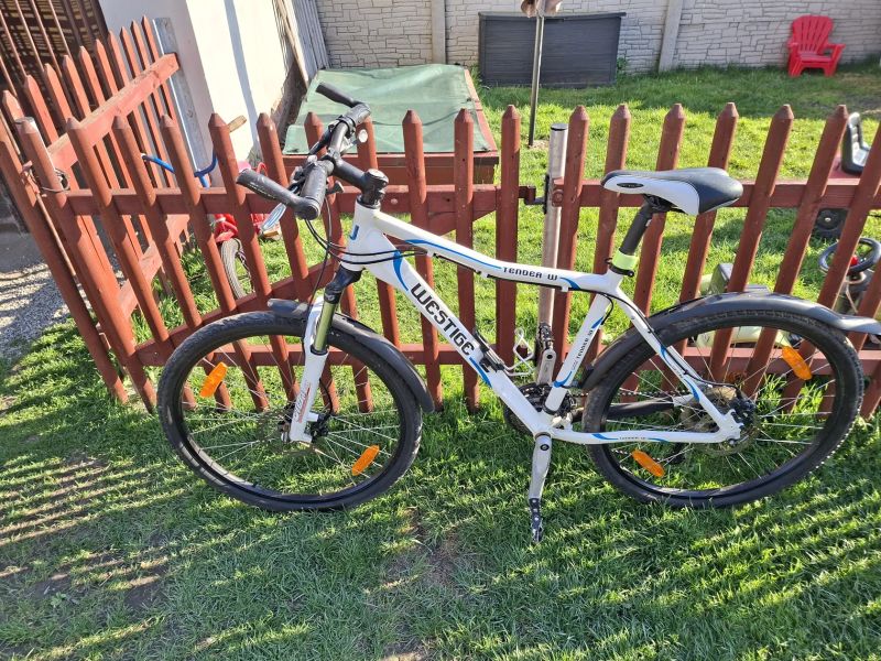 Westige Tender W 19"