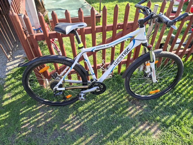 Westige Tender W 19"