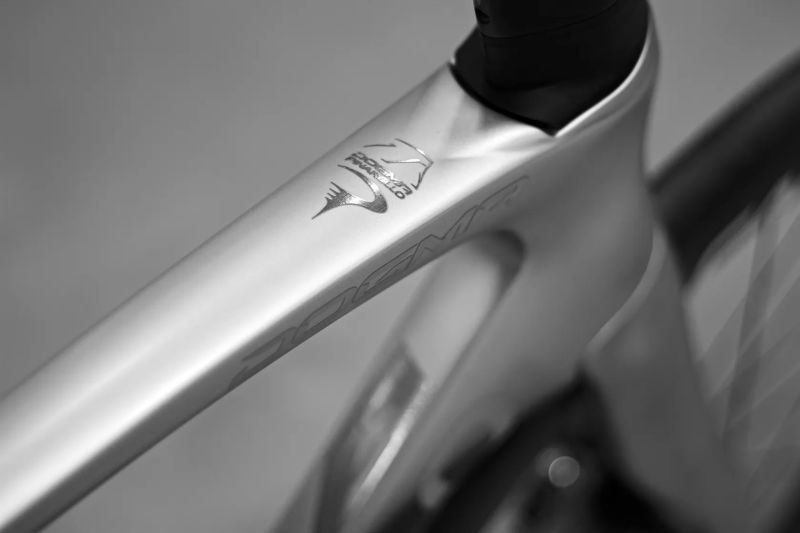 Pinarello Dogma F Plutonium Flash, Sram Red AXS Etap, Powermeter