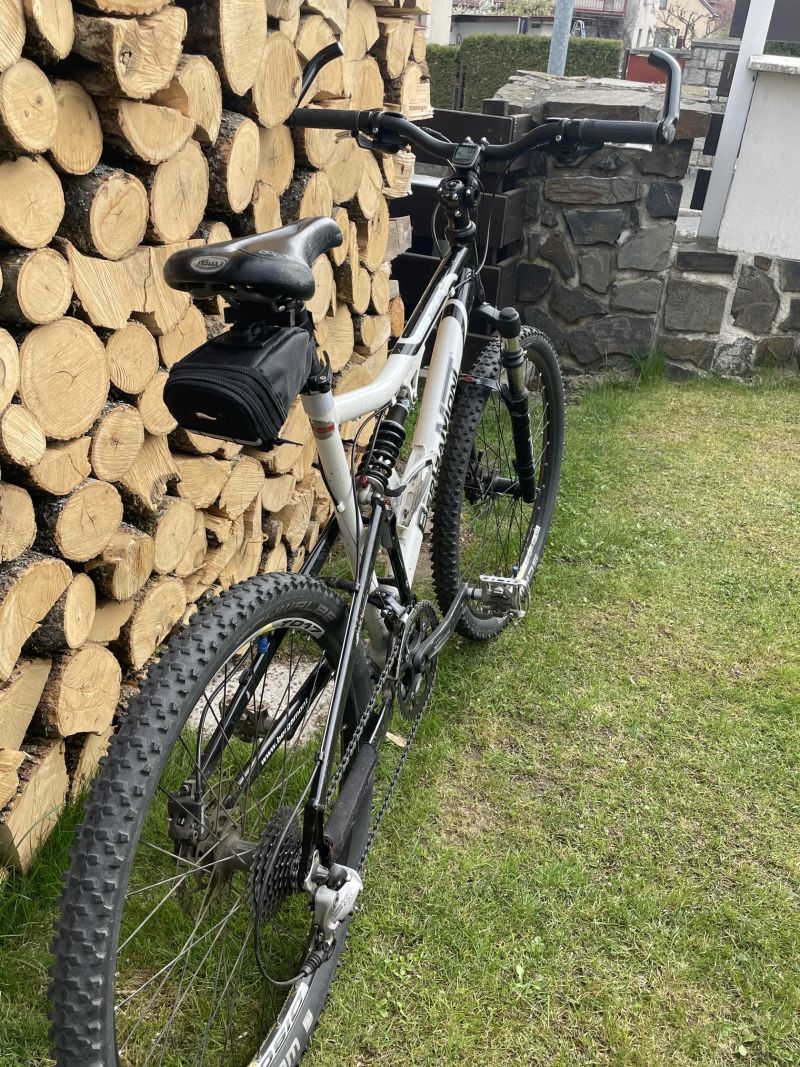 Bergamont Evolve ltd.