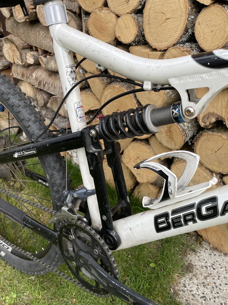 Bergamont Evolve ltd.