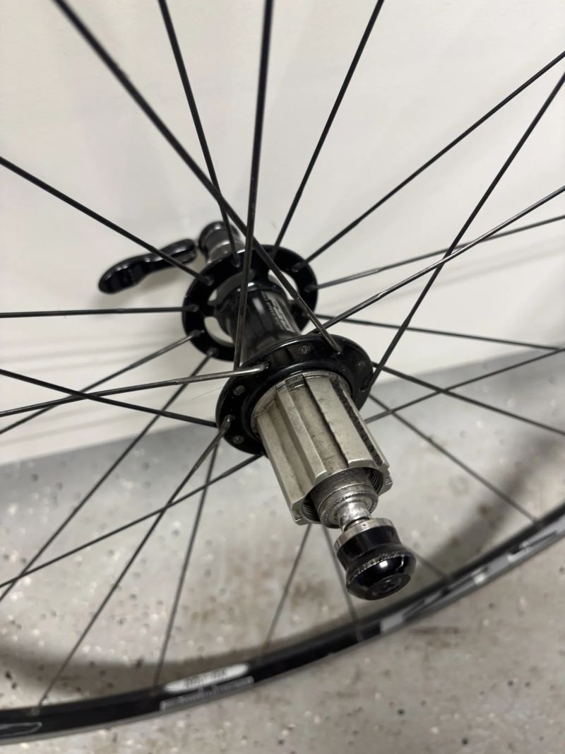 FSA silniční kola 700c + Shimano / Campagnolo ořech