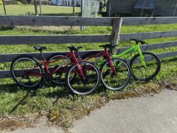 Amulet FUN 24 a TOMCAT 24