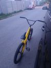 Galaxy Bmx galaxy early bird