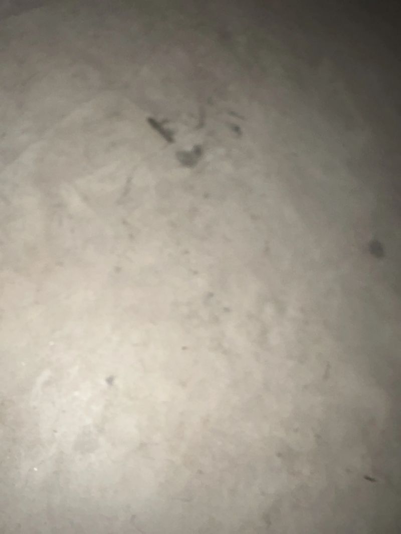 MTB zapletených kol – ráfky DT Swiss + náboje Formula