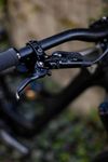 YT Industries Capra Core 4