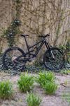 YT Industries Capra Core 4