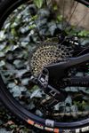 YT Industries Capra Core 4
