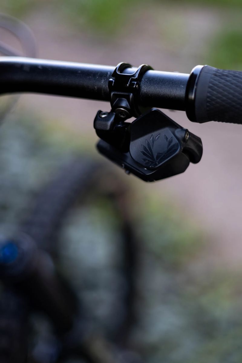 YT Industries Capra Core 4