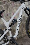 Canyon Spectral 6 - 2024