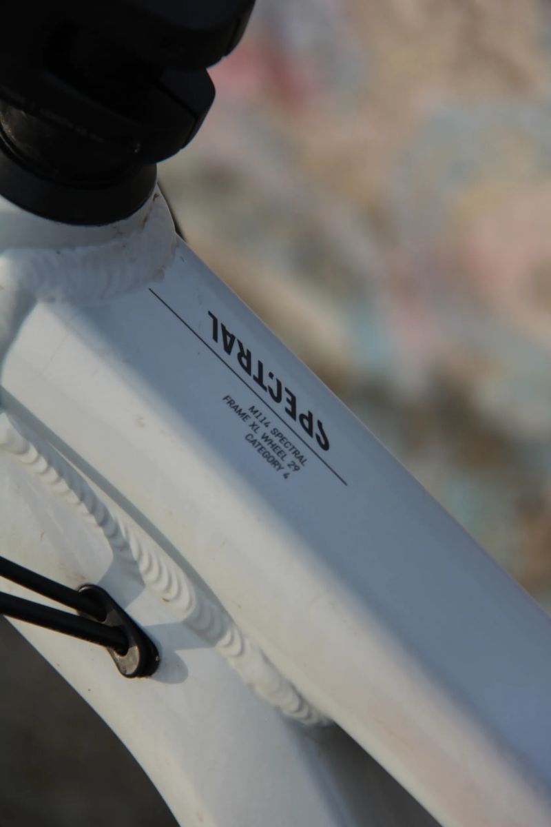 Canyon Spectral 6 - 2024