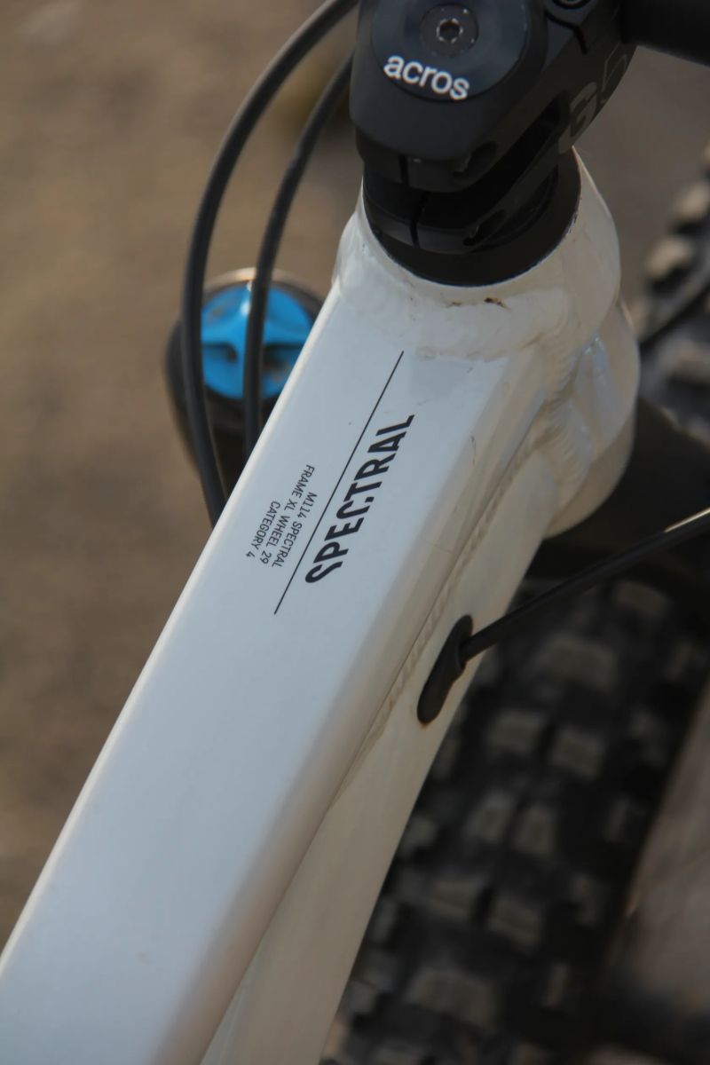 Canyon Spectral 6 - 2024