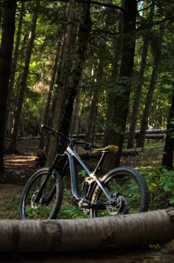 Giant Giant reign advanced pro carbon 1 2017