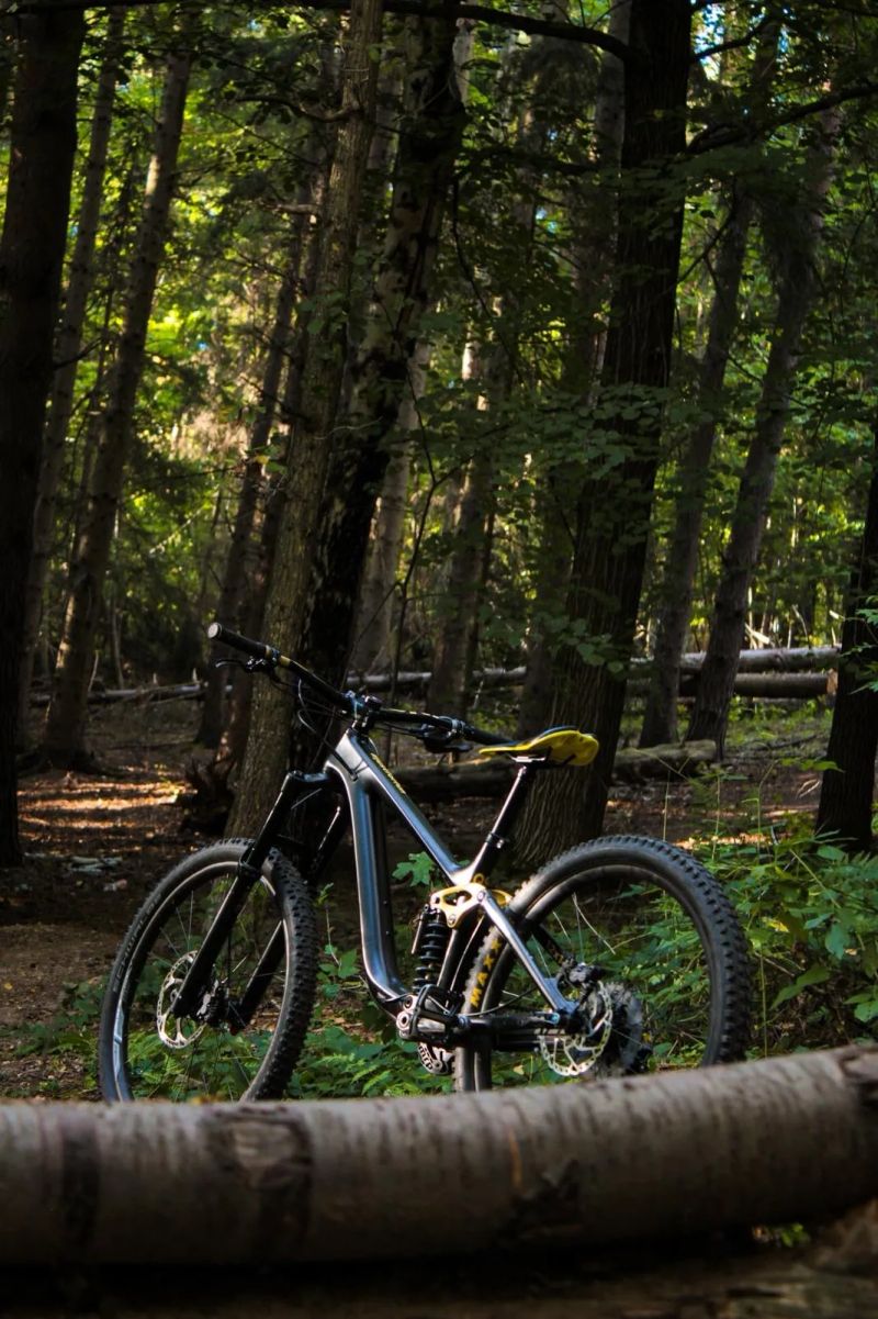 Giant Giant reign advanced pro carbon 1 2017