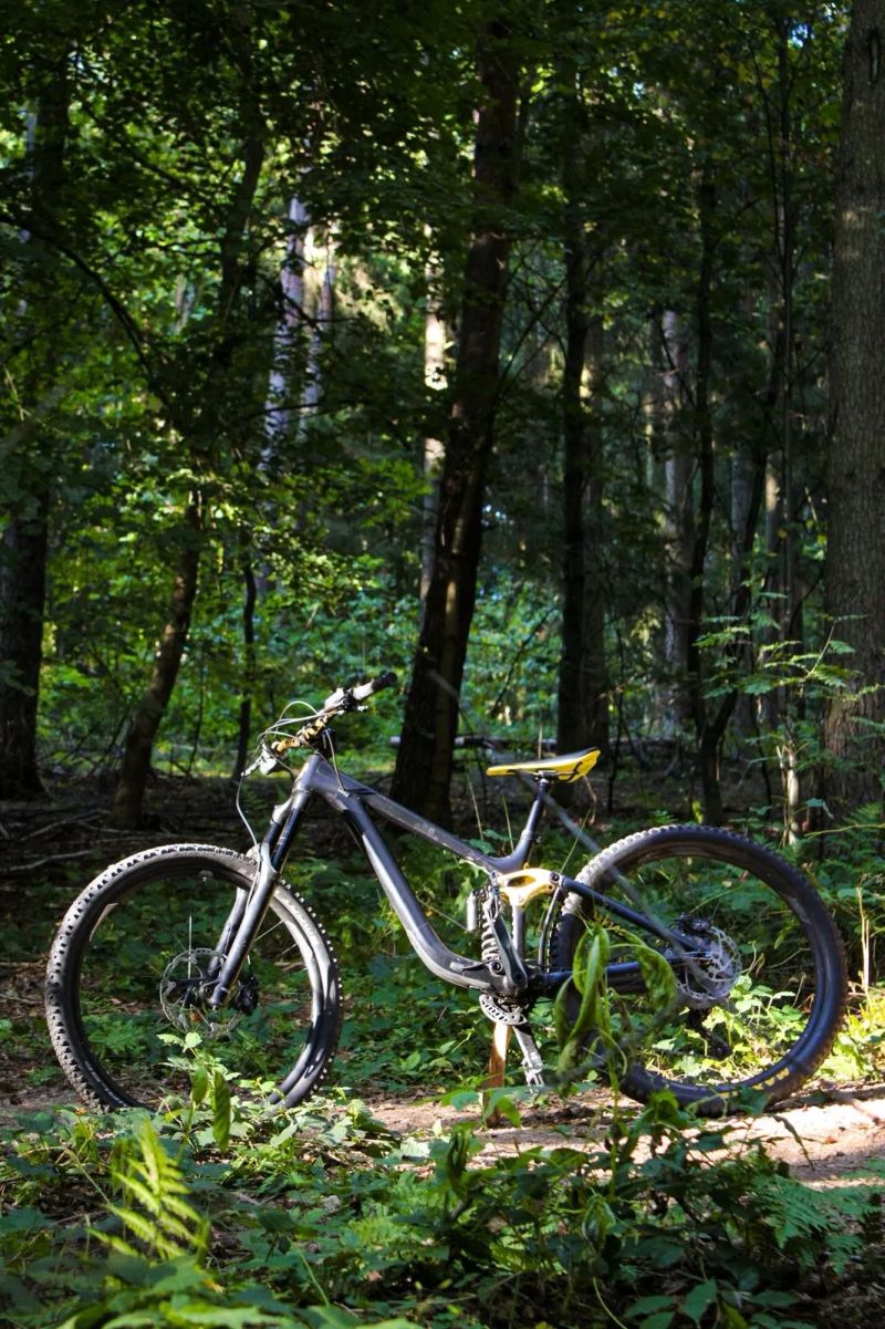 Giant Giant reign advanced pro carbon 1 2017