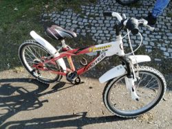 Dětské kolo Torpado Puma 20''