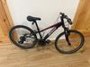 Specialized Hotrock 24