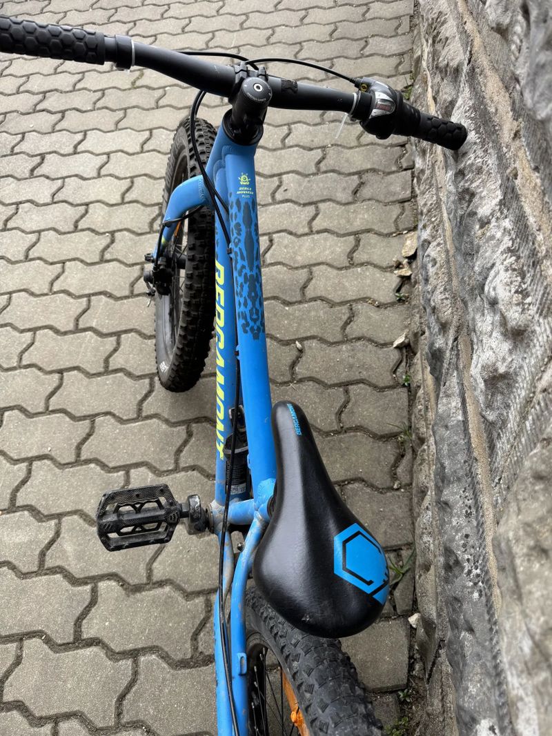 Bergamont Kids series