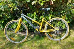 Leader Fox Buffalo Girl – 26" 