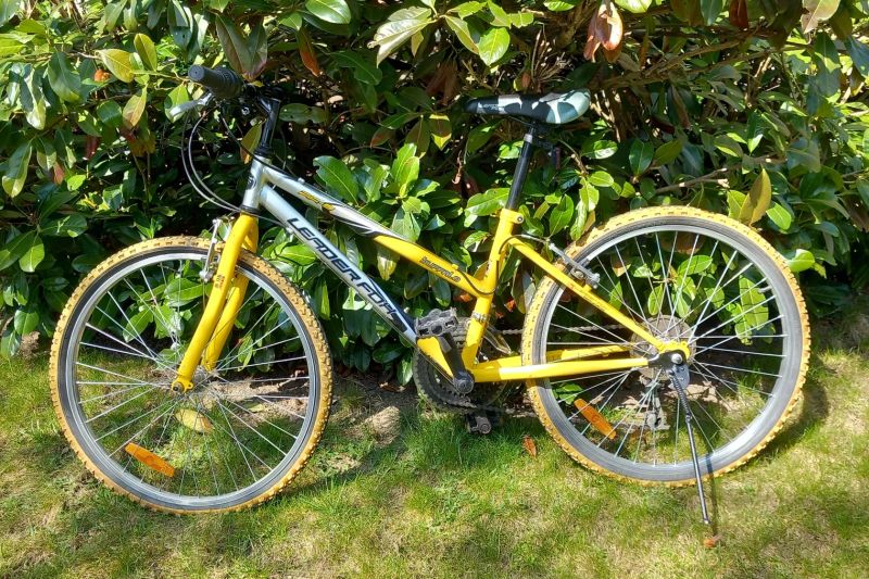 Leader Fox Buffalo Girl – 26" 