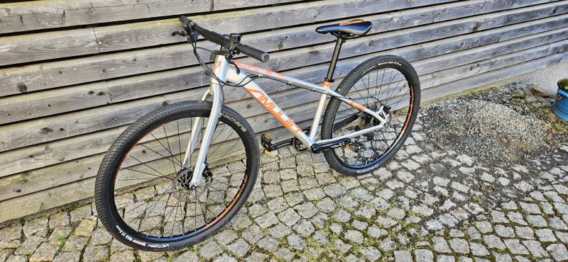 Amulet Youngster 1.10