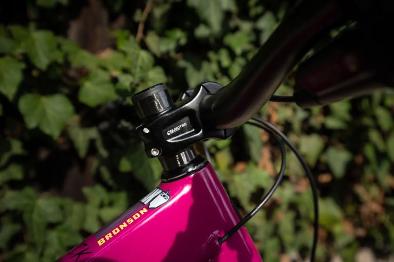 Santa Cruz Bronson Vel. M. TOP STAV