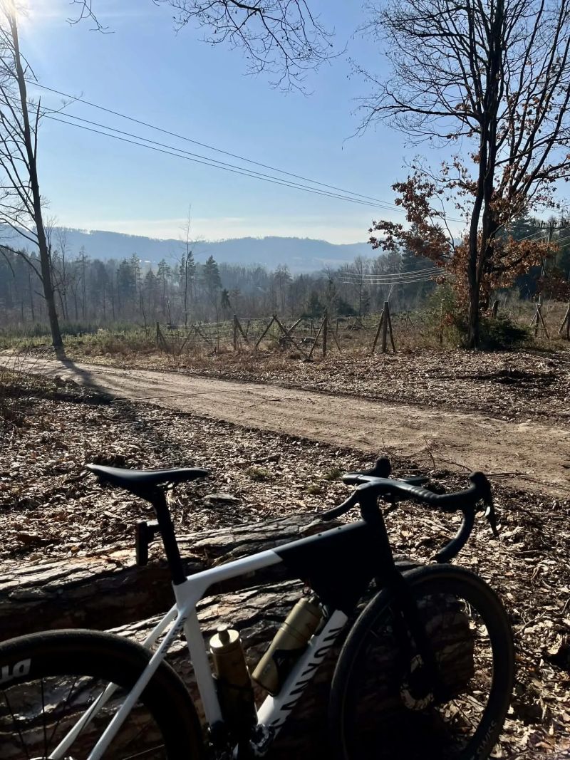 Canyon Grail CF SLX 8 Di2