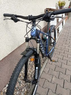 Kellys Desire50 29eR