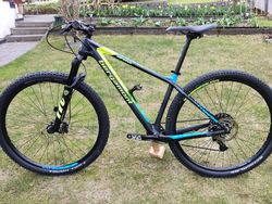 Bergamont Revox Sport