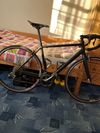 Canyon Endurace al 6