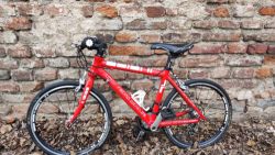 NEJMENŠÍ SILNIČKA NA SVĚTĚ! Juniorbicycles Cross Kid 20 – tvůj malý se stane šéfem cyklostezky!