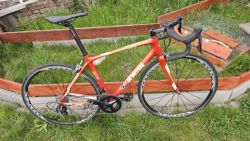 Karbonová silnička Cinelli Saetta Radical