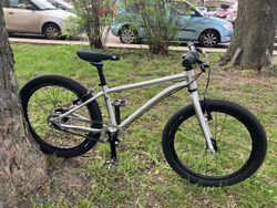 Early Rider Early Rider Belter 20