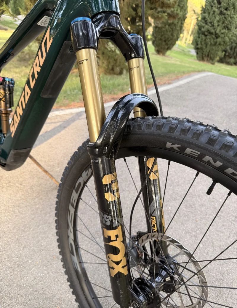 Santa Cruz Vala C, vel. L, Kashima