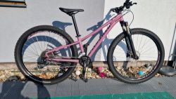 Prodám Specialized Pitch expert XS 
