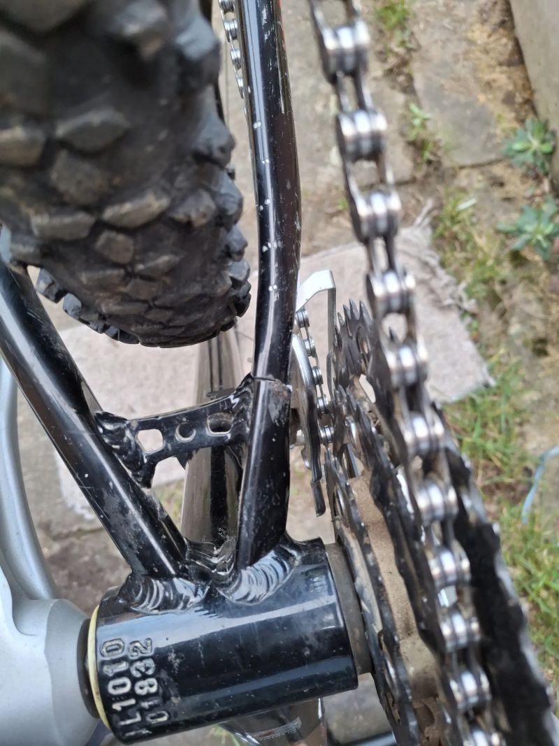 Leader Fox ROVER 2011