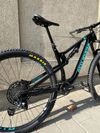 Rocky Mountain Instinct carbon