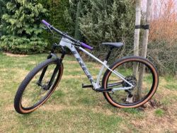 Procaliber 8 29" Plasma Grey Pearl vel. S